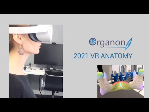 3D Organon VR Anatomy 2021 Edition