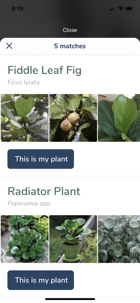 Candide Labels Guide: AR Plant & Gardening App