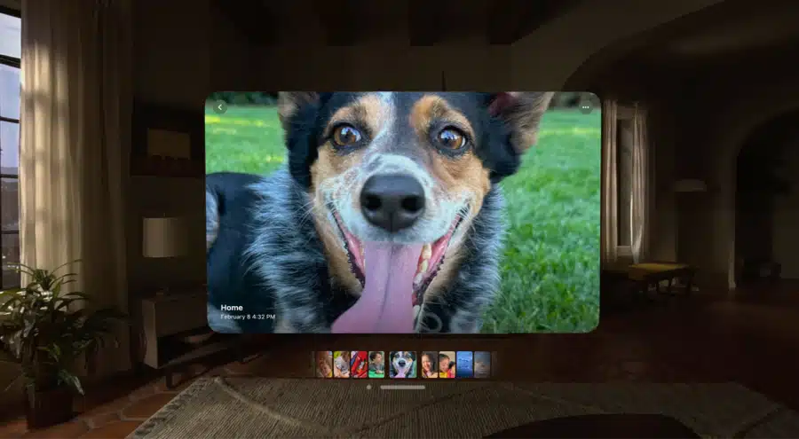 apple vision pro picture memory dog