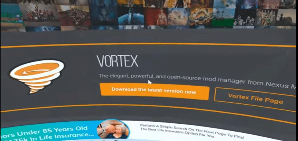 Stray VR mod Vortex Mod Manager