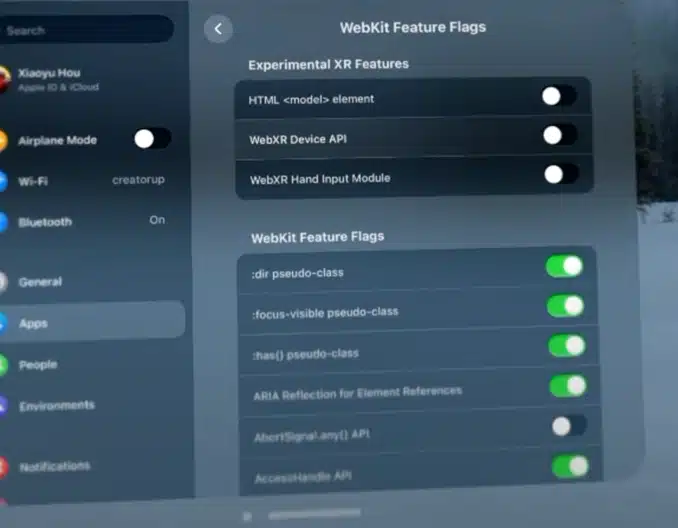 apple vision pro enable webxr feature flags